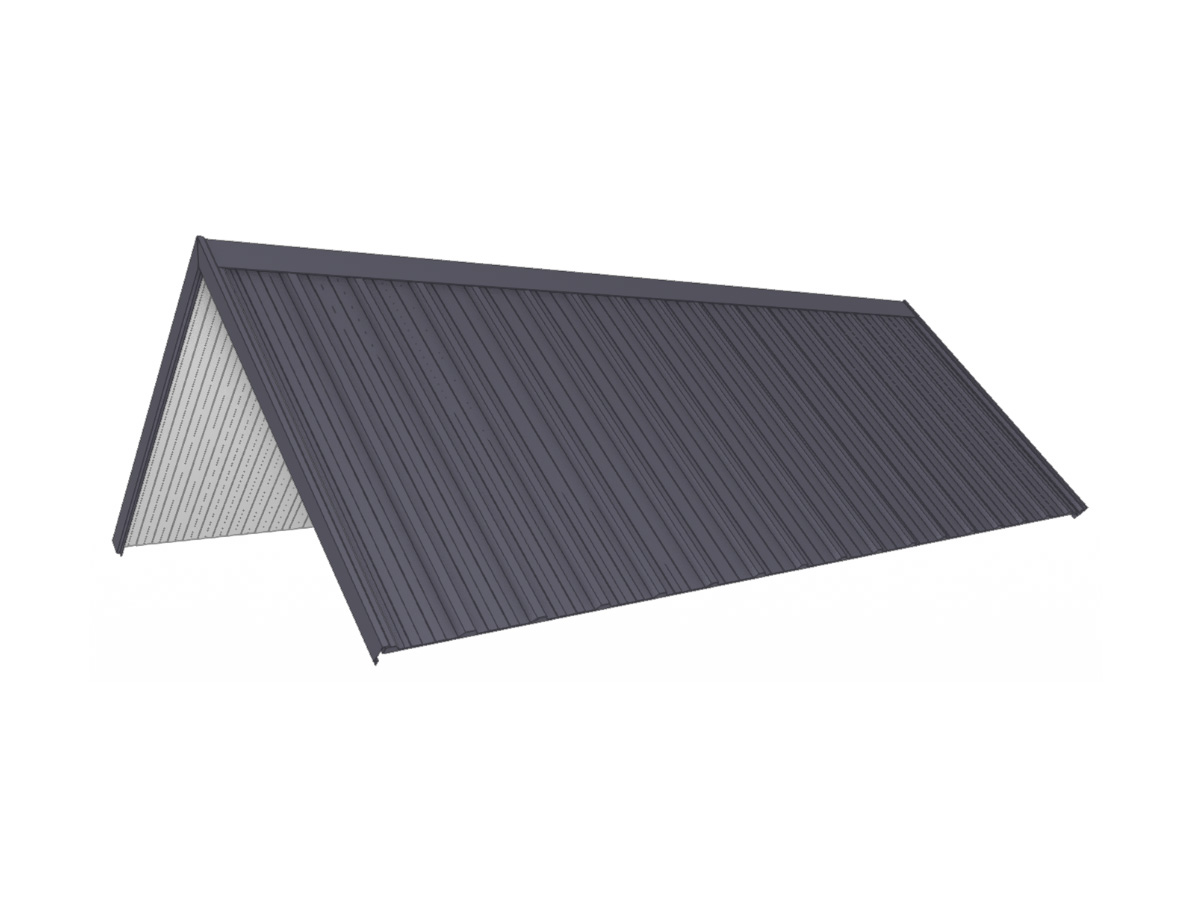 Dakpakket compleet, 3m x 6m, antraciet mat, DIYDAK36AM1